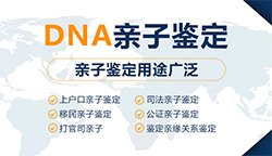 柳州怎么样选择正规亲子鉴定机构，柳州正规血缘检测收费多少