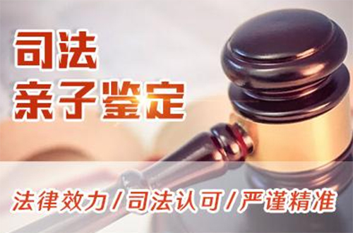 柳州司法亲子鉴定多少钱一次,柳州专业司法DNA鉴定机构在哪