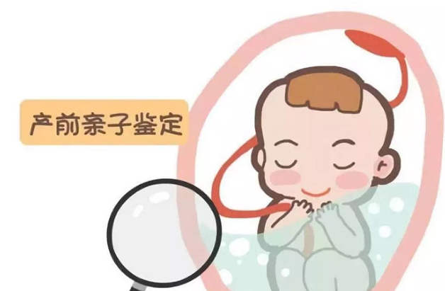 柳州怀孕八周可以做无创胎儿亲子鉴定吗,柳州做无创孕期亲子鉴定大概需要多少钱